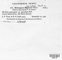 Image Associated With the Occurence